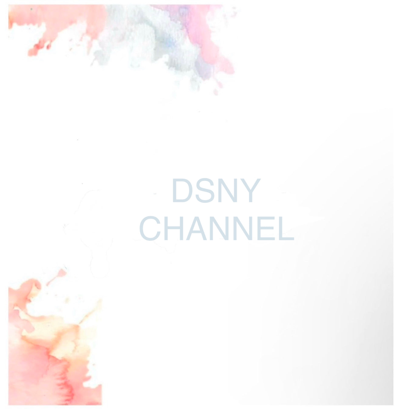 DSNY CHANNEL